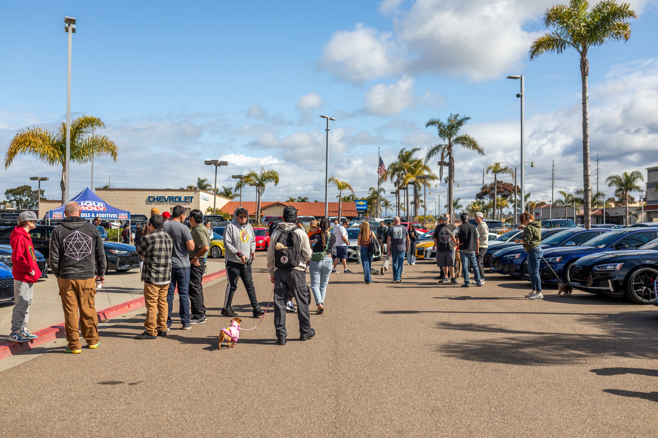 Visitors and cars filling the Audi Carlsbad lot during the anniversary Cars and Coffee