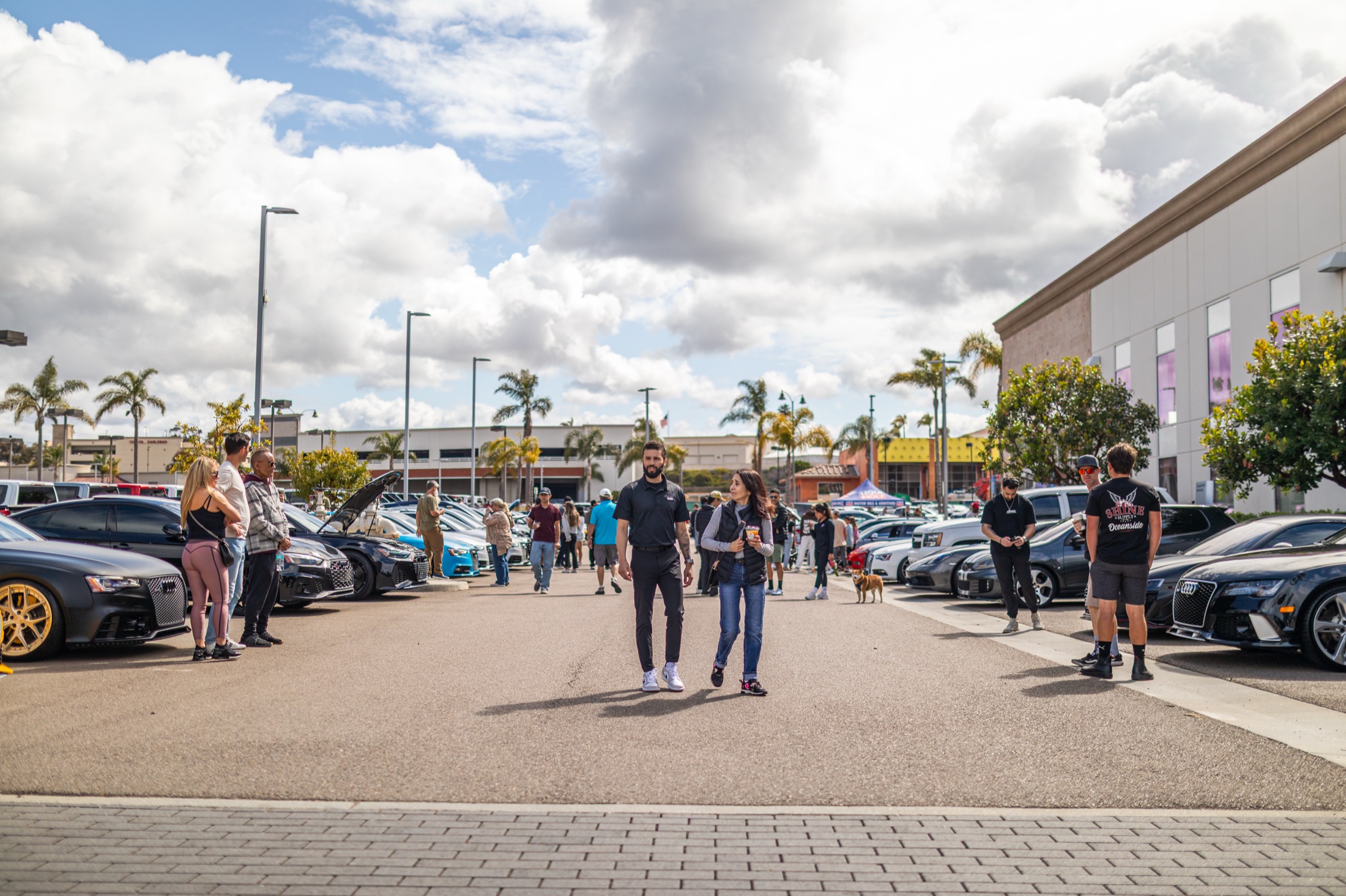 Wide view of the Audi Carlsbad anniversary Cars and Coffee gathering